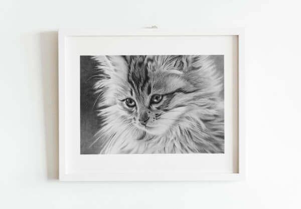 Black and white kitten drawing | Cat lover art gift