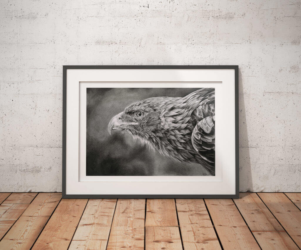 FOCUS | EAGLE PRINT - Jess Ridley Art