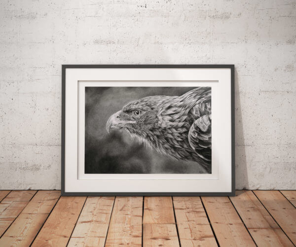 Eagle art print | Hand drawn bird illustration | Bird of prey