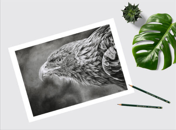 Bird lover art gift| Eagle picture | print