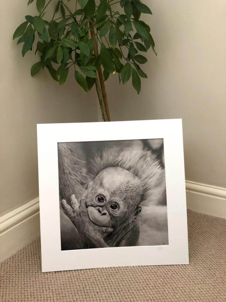 Frequently Asked Questions - Jess Ridley Art