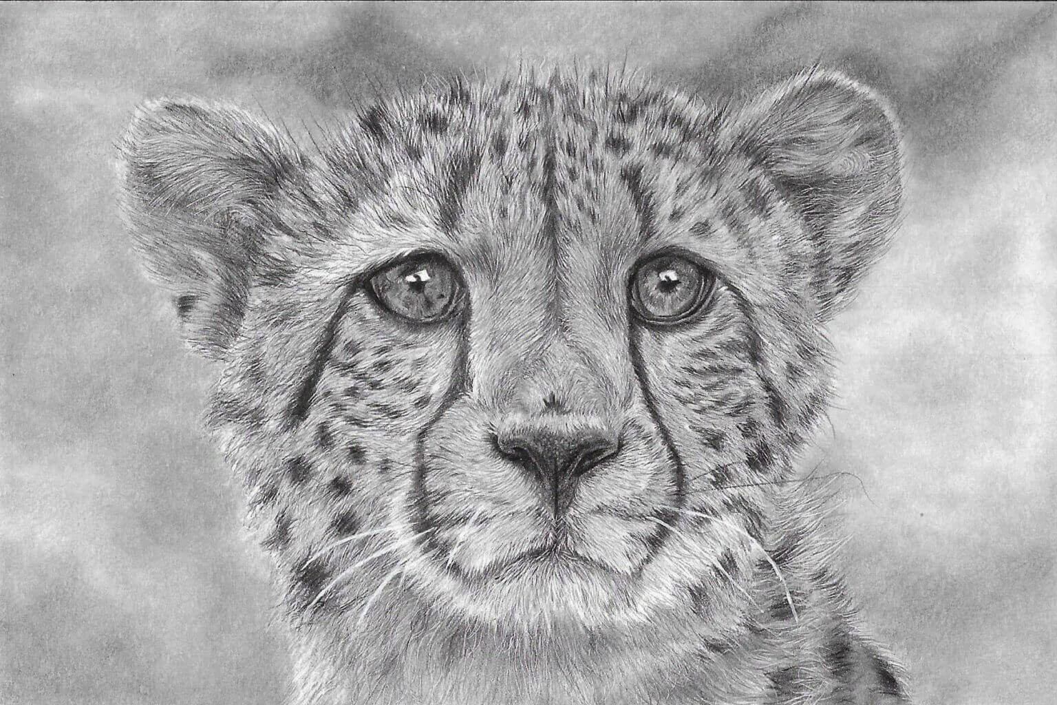 Wildlife Art Gallery - Jess Ridley Art