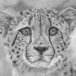 'Gone In A Flash' | Cheetah Artwork | Original Wildlife Art