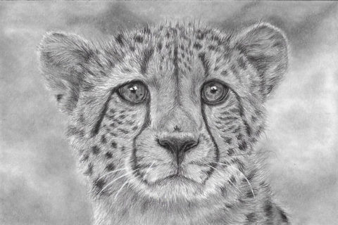 'Gone In A Flash' | Cheetah Artwork | Original Wildlife Art