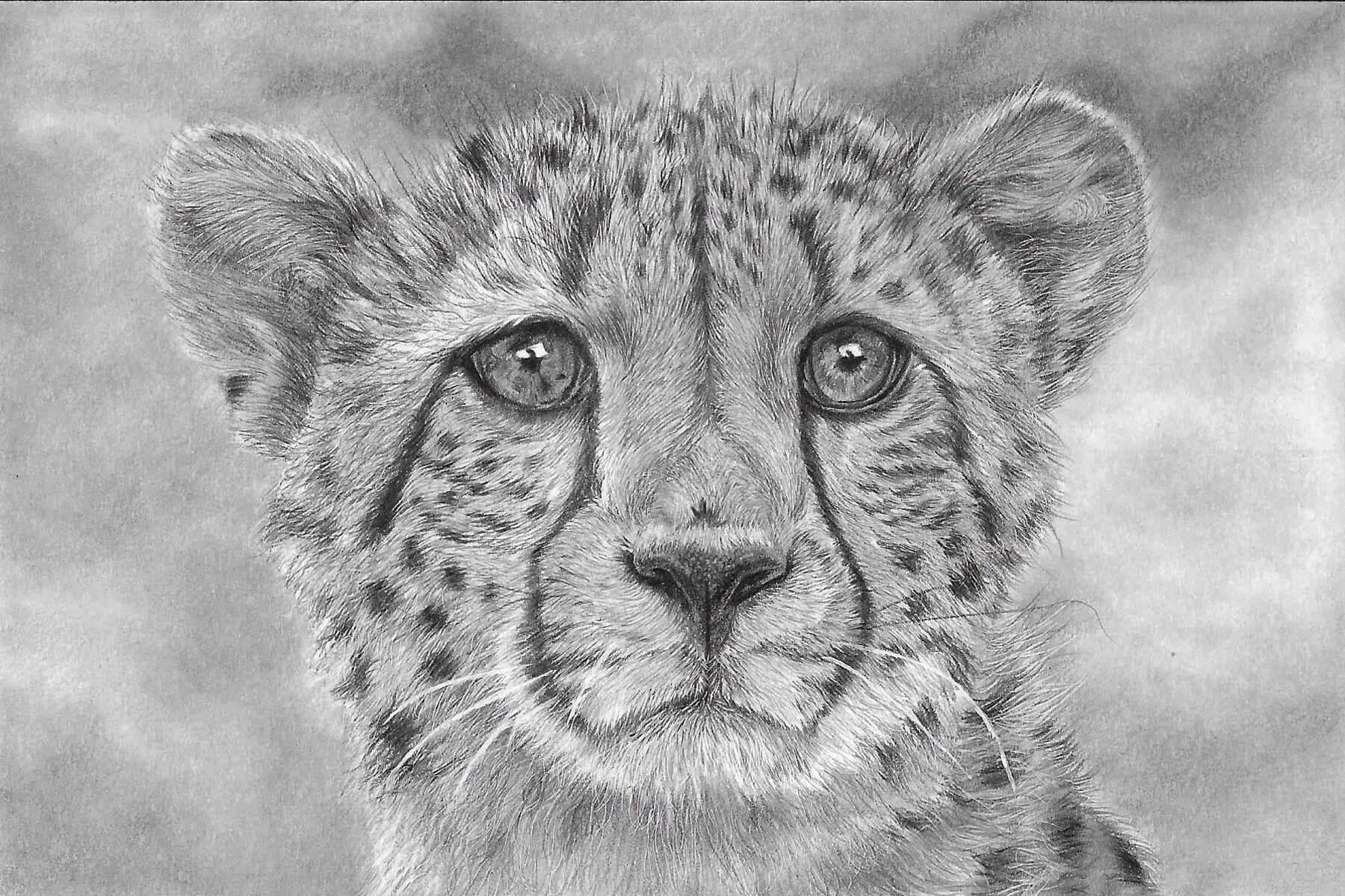 Limited Edition print of my hand-drawn cheetah