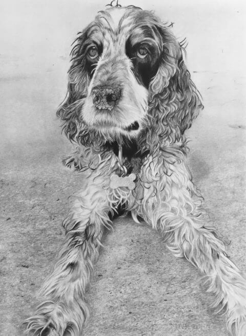 Archie Dog Pet portrait