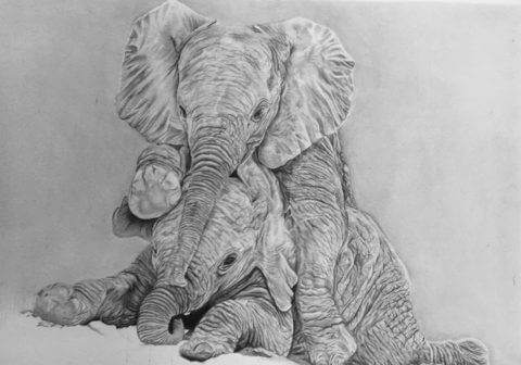 'Play Time' | Baby Elephant Artwork | Original Wildlife Art