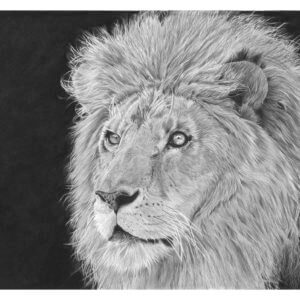 'Proud' | Lion Artwork | Original Wildlife Art
