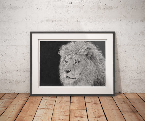 African Lion art print