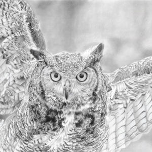 'Hunter' | Owl Artwork | Original Wildlife Art