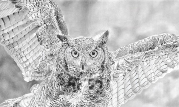 'Hunter' | Owl Artwork | Original Wildlife Art