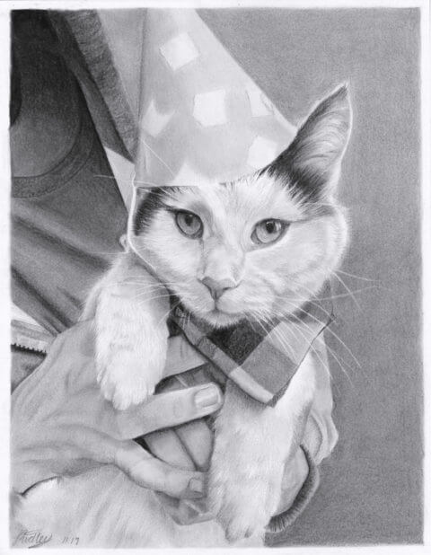 Pieroggi | Pet Portrait | Cat drawing