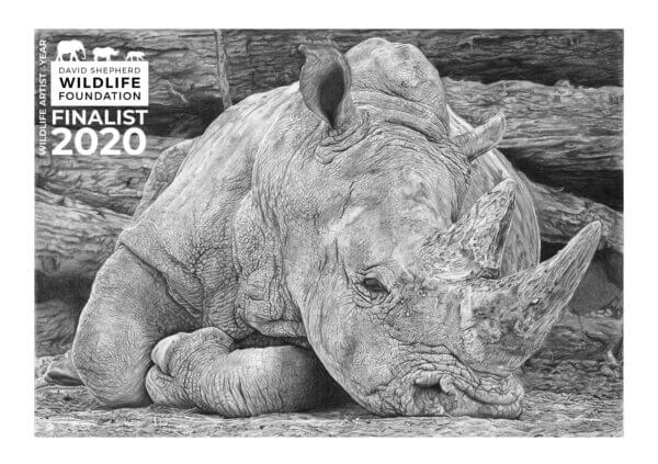 DSWF Wildlife Artist of the Year Finalist