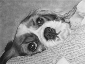 Pet portrait artist | Dog Portrait