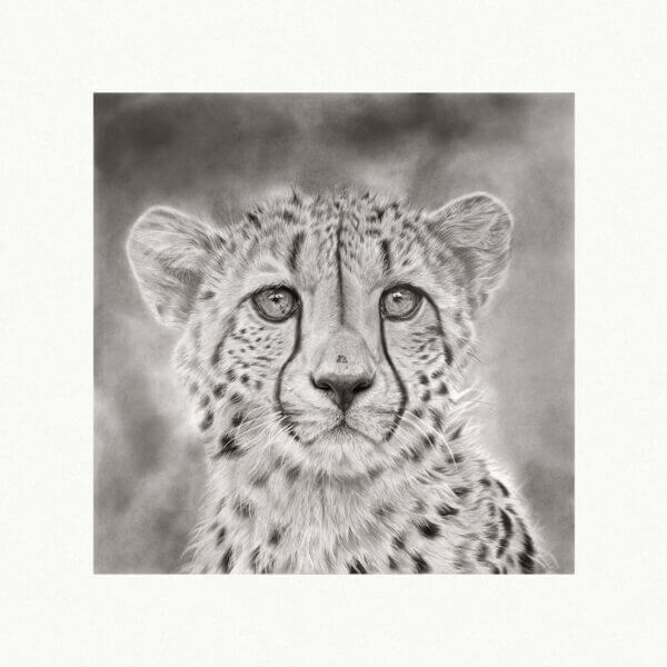 cheetah art print