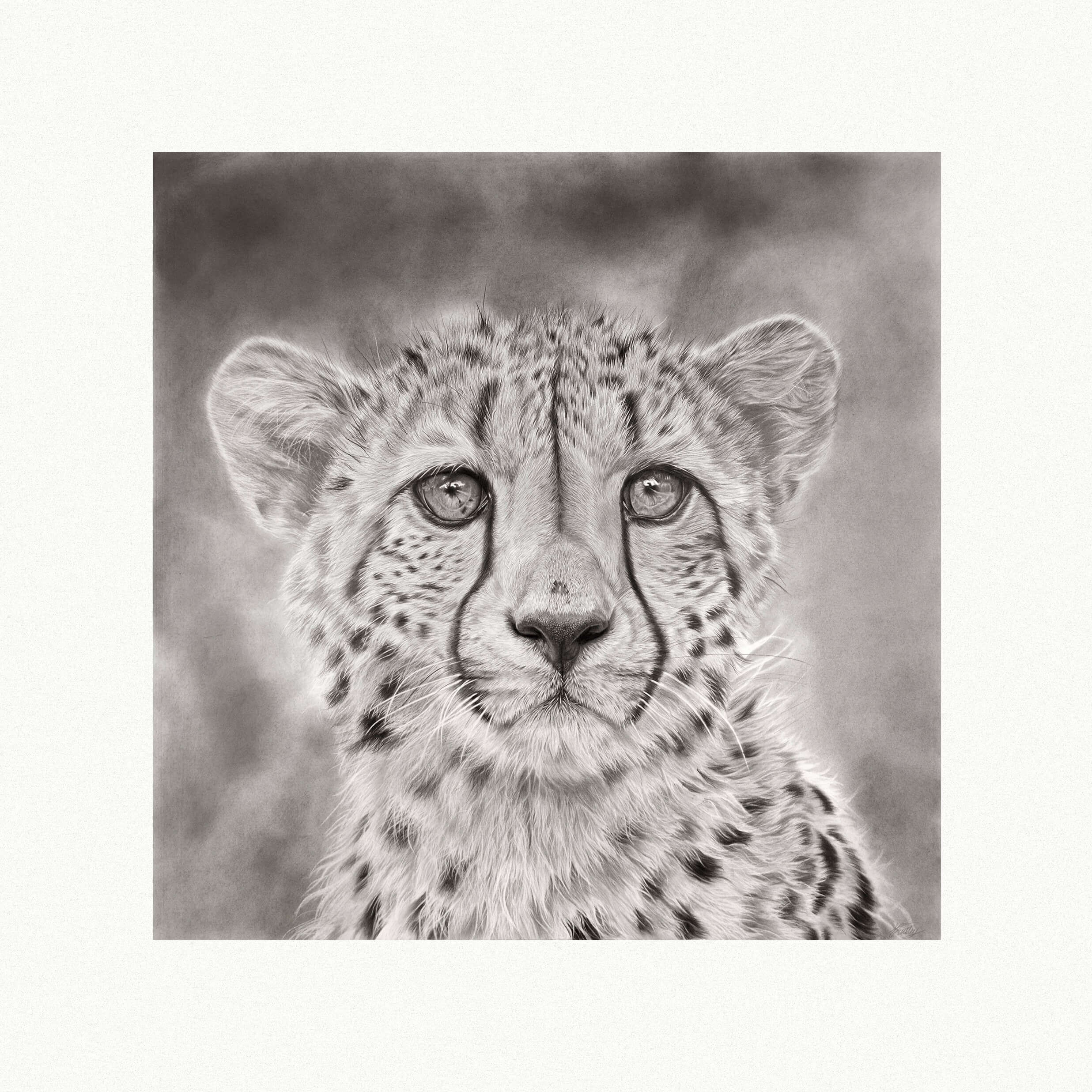 Cheetah :: Behance