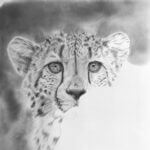 Black and white cheetah drawing