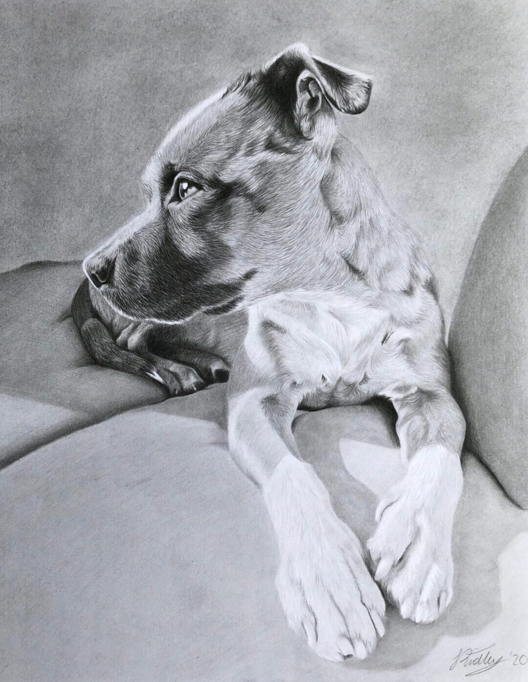 Nero | Custom Dog Portraits