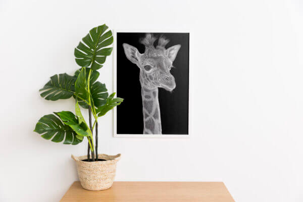 Giraffe Art Print