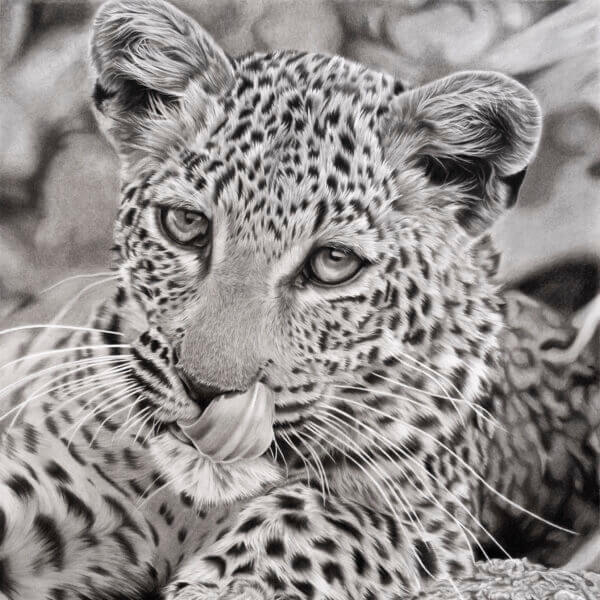 leopard drawing | leopard print