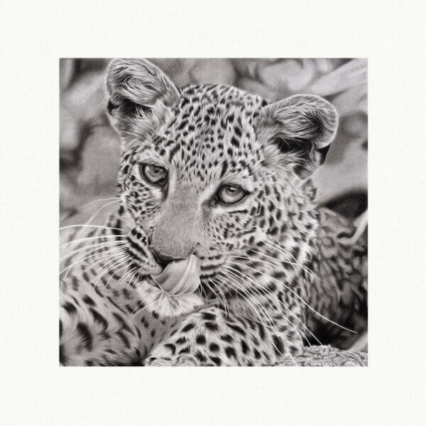 leopard fundraiser art print