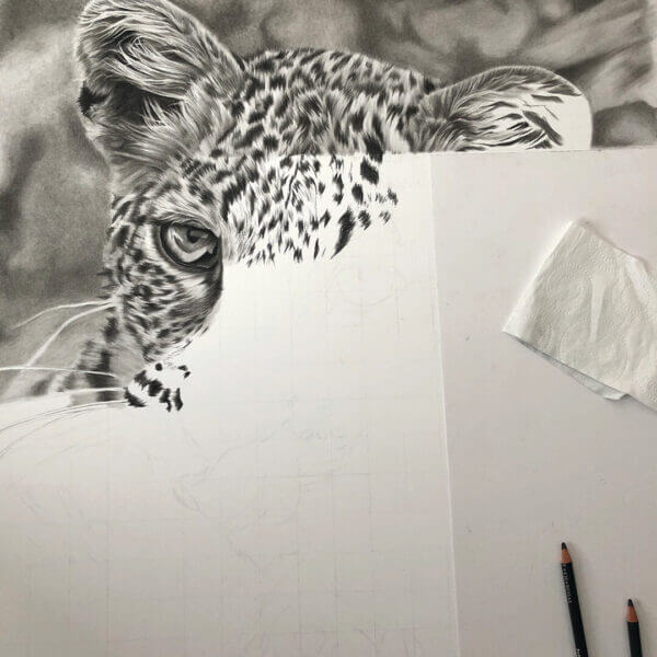 drawing in progress