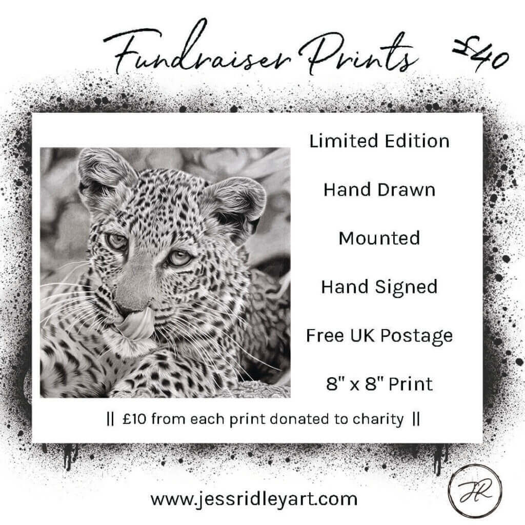 Blog - Jess Ridley Art