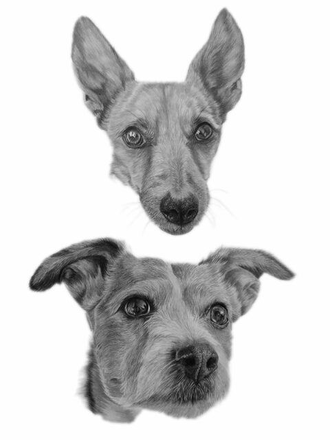 double dog portrait