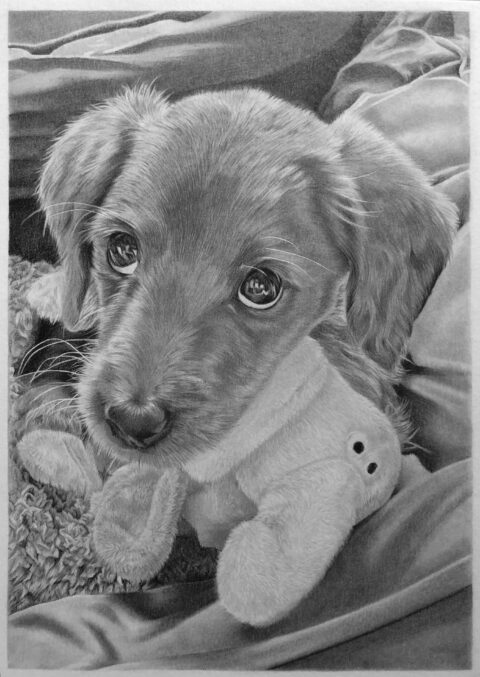 Puppy Pet Portrait