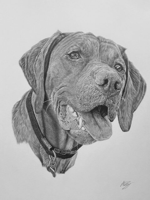 Vizla Pet Portrait