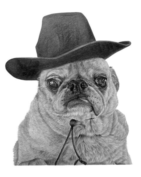 Pug Drawing